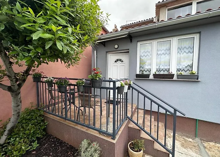 Ines Studioapp * Pola